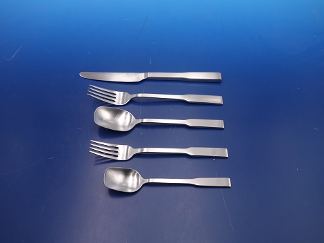 Dinner 5-pc Setting new in box - Delice by Villeroy and Boch - Stainless